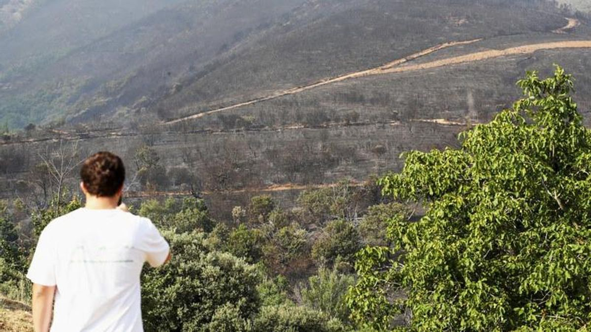 El incendio de Castropodame ha quemado ya 810 hectáreas, la mayoría de superficie arbolada