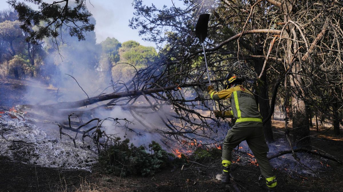 El Gobierno valenciano acusa al PSPV de "cinismo":"Fue el Botànic quien precarizó al bombero forestal"
