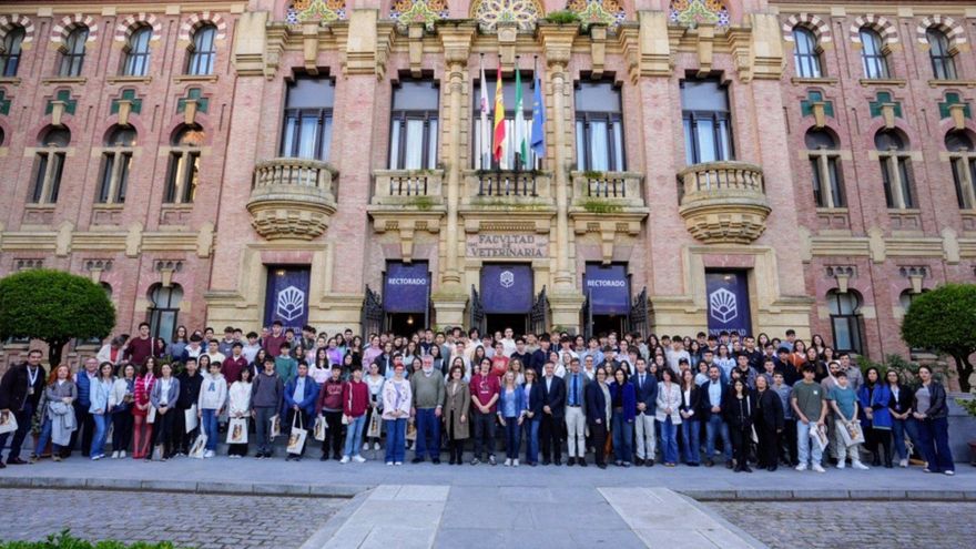 Casi 180 estudiantes con altas capacidades participan en la tercera edición del Programa Hipatia