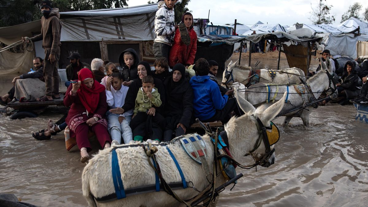Una votación popular promovida por la Real Academia Galega elige “xenocidio” como palabra del año