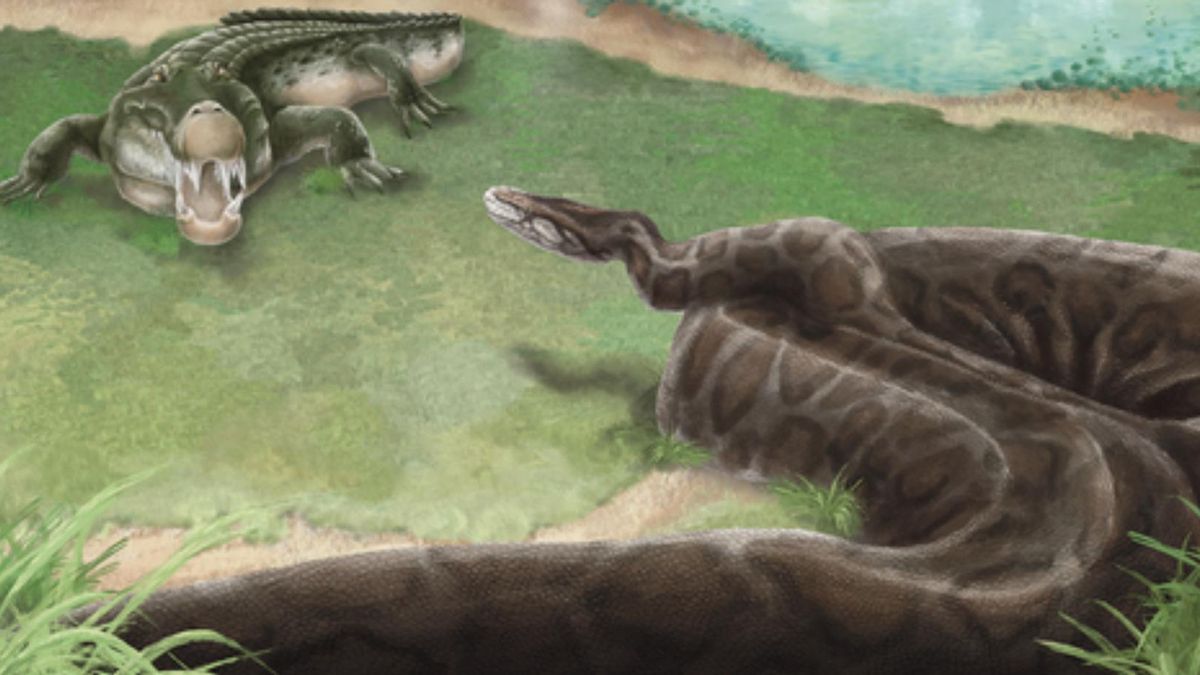 Taiwán saca a la luz un pequeño hueso que certifica la presencia de un gran depredador del Pleistoceno ya desaparecido