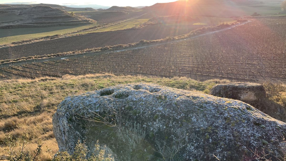 Rodeada de viñedos, la villa mantiene una vinculación indisoluble con la cultura del vino riojano