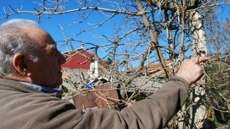 Tomás San Martín observa los primeros brotes del saúco. / AstorgaRedacción