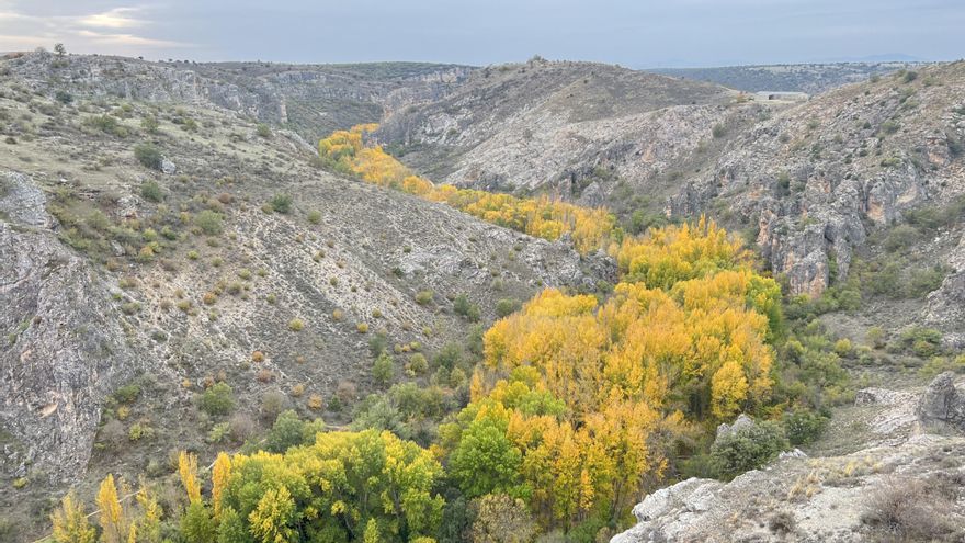 Viaje al cañón del río Dulce, en Guadalajara