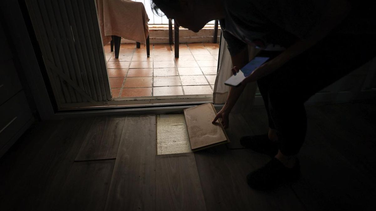 Fernanda Forcade levanta uno de los tablones de la tarima de su domicilio, levantada por la inundación.