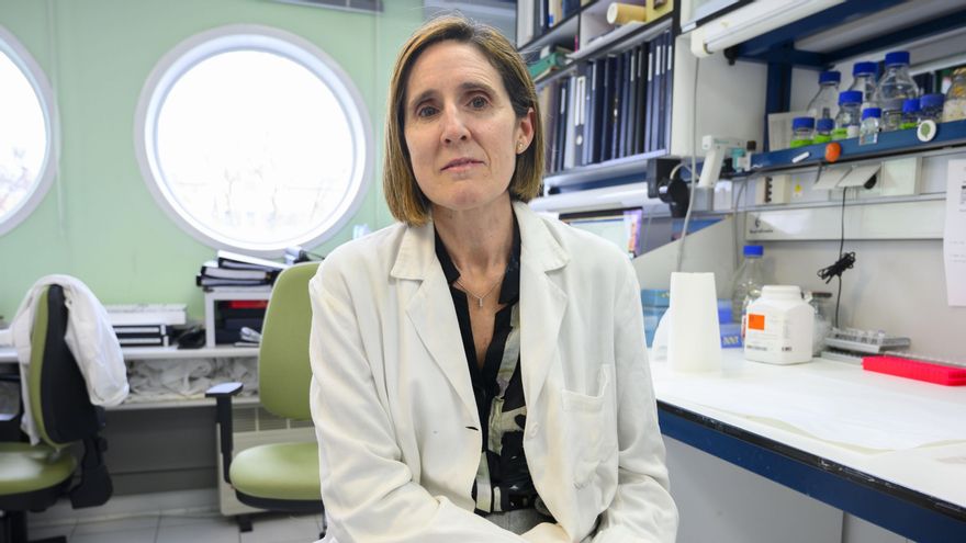 Isabel Solá, directora del centro de investigaciones de Luis Enjuanes