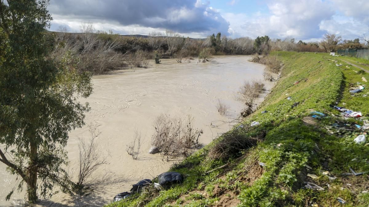 Estado del río a su paso por las parcelaciones del aeropuerto
