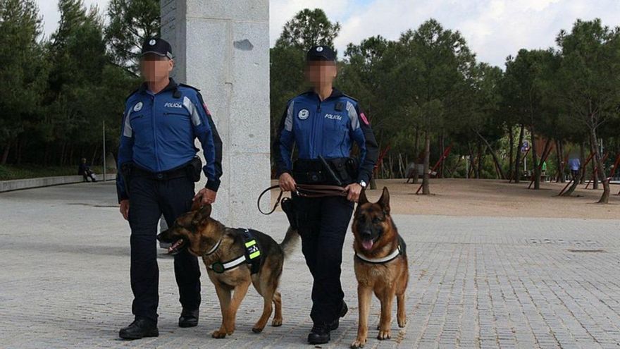 Dos perros de la unidad canina de la policía municipal de Madrid.