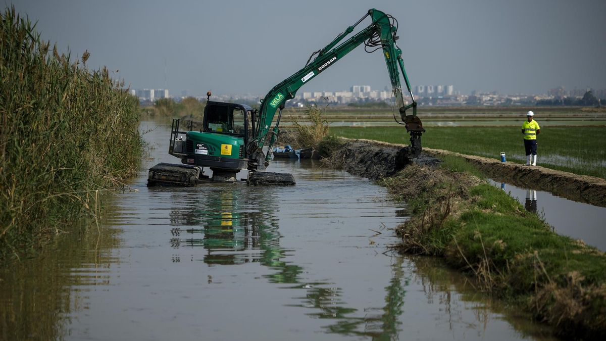 Trabajos de limpieza por los efectos de la dana.