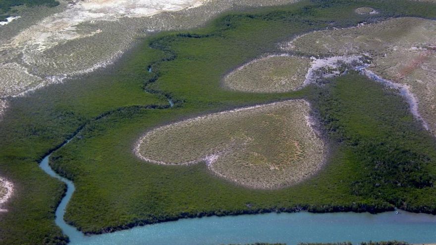 La famosa formación de manglares en forma de corazón se desvanece debido al aumento del nivel del mar