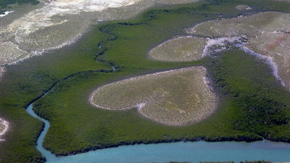 La famosa formación de manglares en forma de corazón se desvanece debido al aumento del nivel del mar