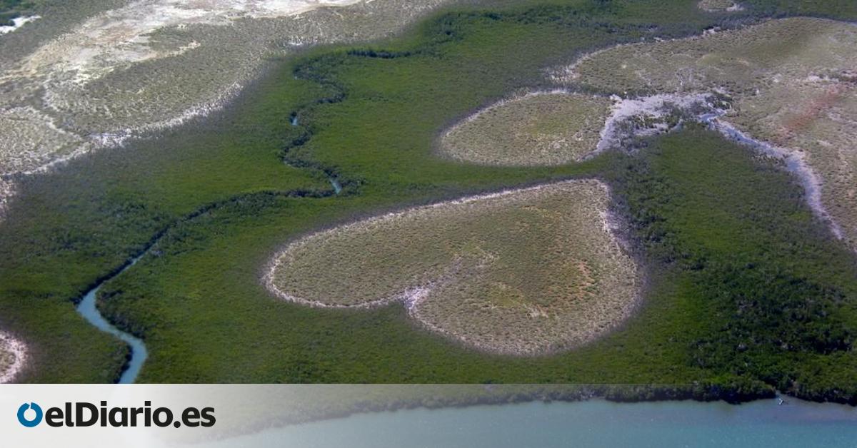 La famosa formación de manglares en forma de corazón se desvanece debido al aumento del nivel del mar