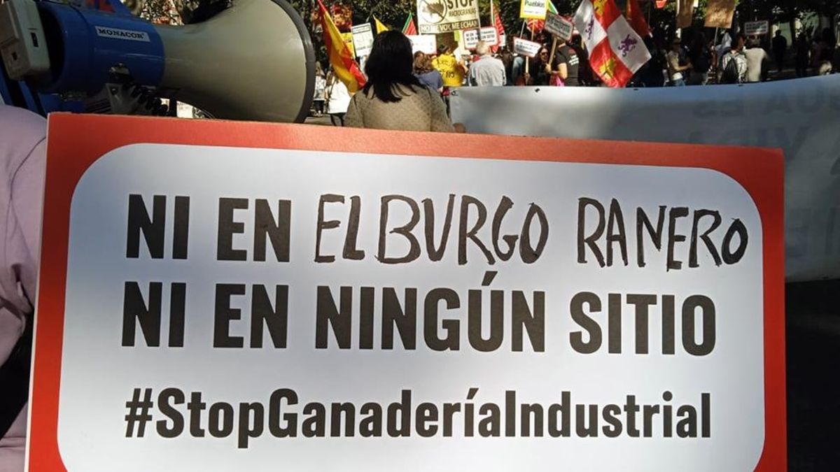 Manifestación contra la macrogranja porcina en El Burgo Ranero entre críticas por sus riesgos.
