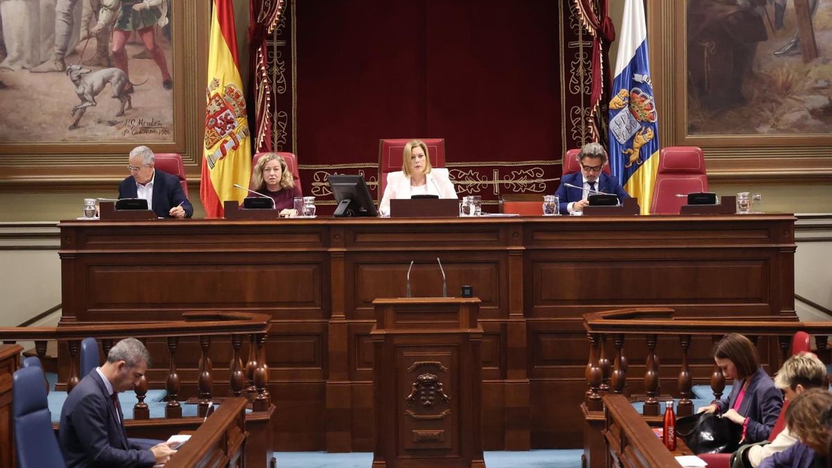 Astrid Pérez preside el Parlamento canario durante la votación en la conclusión del Debate sobre la Nacionalidad.