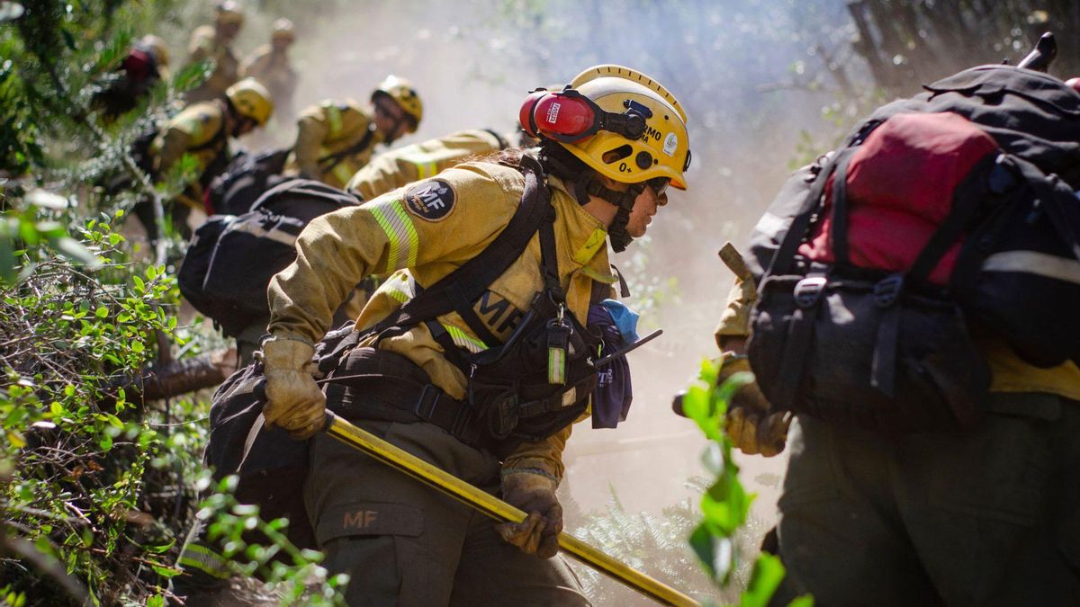 Ambientalistas califican como "ecocidio" en la Patagonia a la falta de fondos para combatir incendios