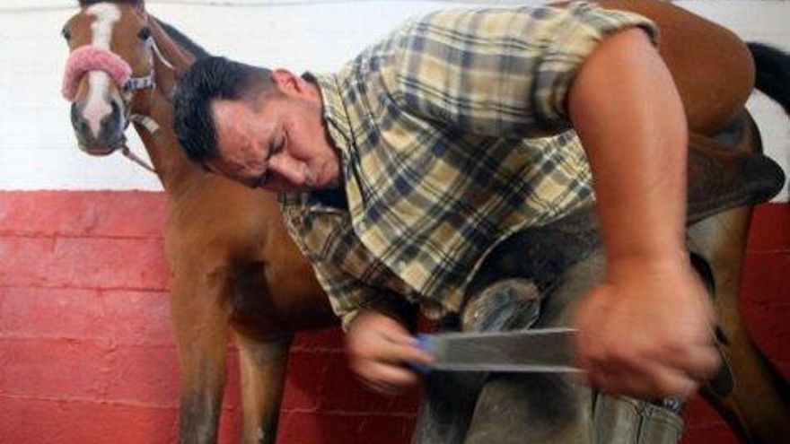 César Sánchez / ICAL Jonathan Carvalha, herrador de caballos