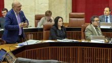 Diputados de Vox en el Parlamento de Andalucía.