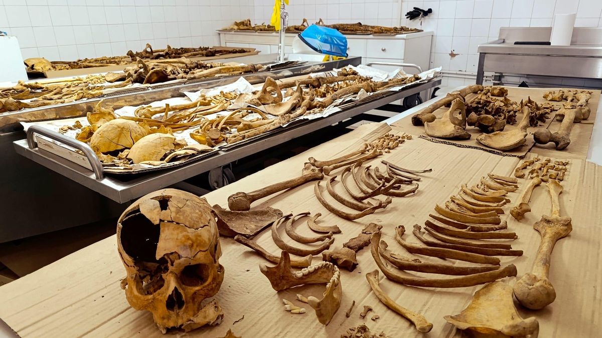Restos hallados en la fosa de Ejea