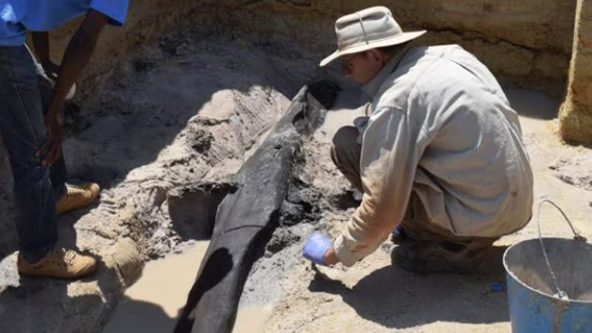 Han encontrado en África una estructura de madera construida a propósito y el calendario del ingenio humano ya no encaja