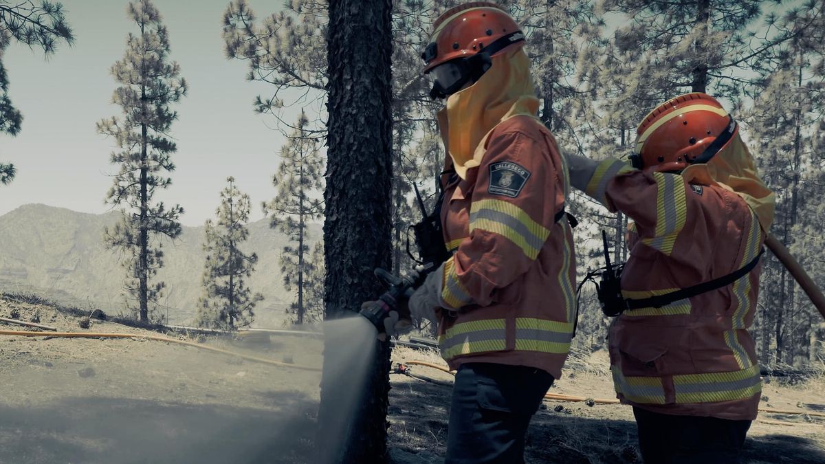 Imagen del nuevo vídeo del Cabildo de Gran Canaria con el que pretende incentivar a la ciudadanía a unirse a las agrupaciones de Protección Civil.