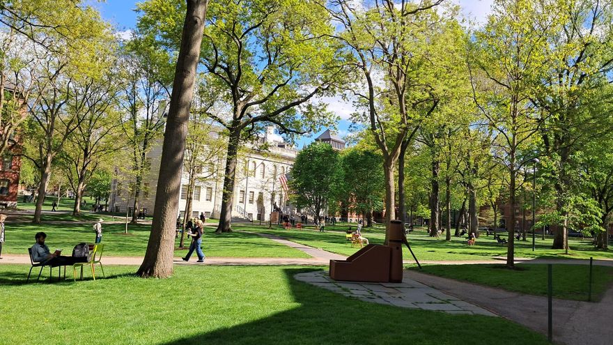 De Castilla-La Mancha a Massachusetts: así te abre la UCLM las puertas de la Universidad de Harvard