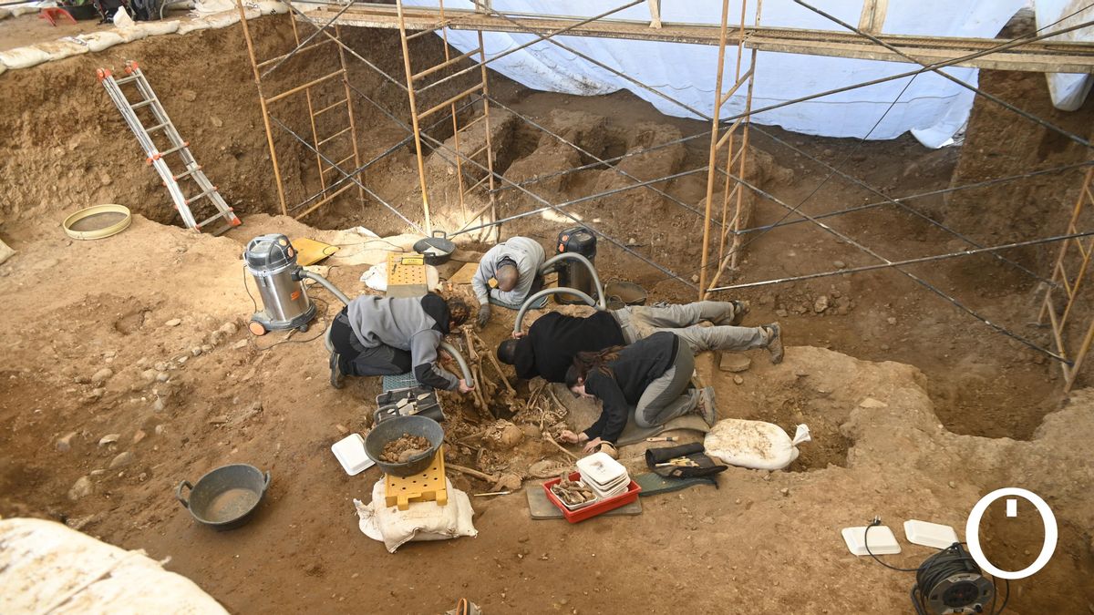 El Ayuntamiento prorroga el convenio para la exhumación de las fosas del franquismo en Córdoba