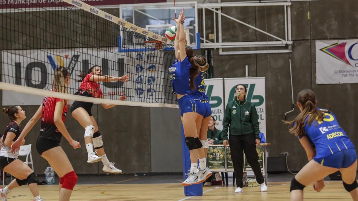 Final del Campeonato de Andalucía de Voleibol