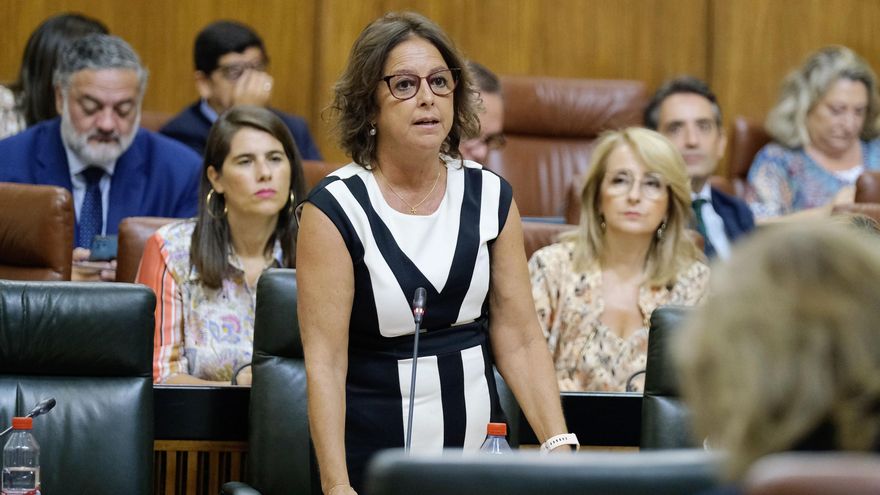 Andalucía rectifica y solo utilizará la sanidad privada en la atención primaria "cuando la demanda asistencial sea elevada"