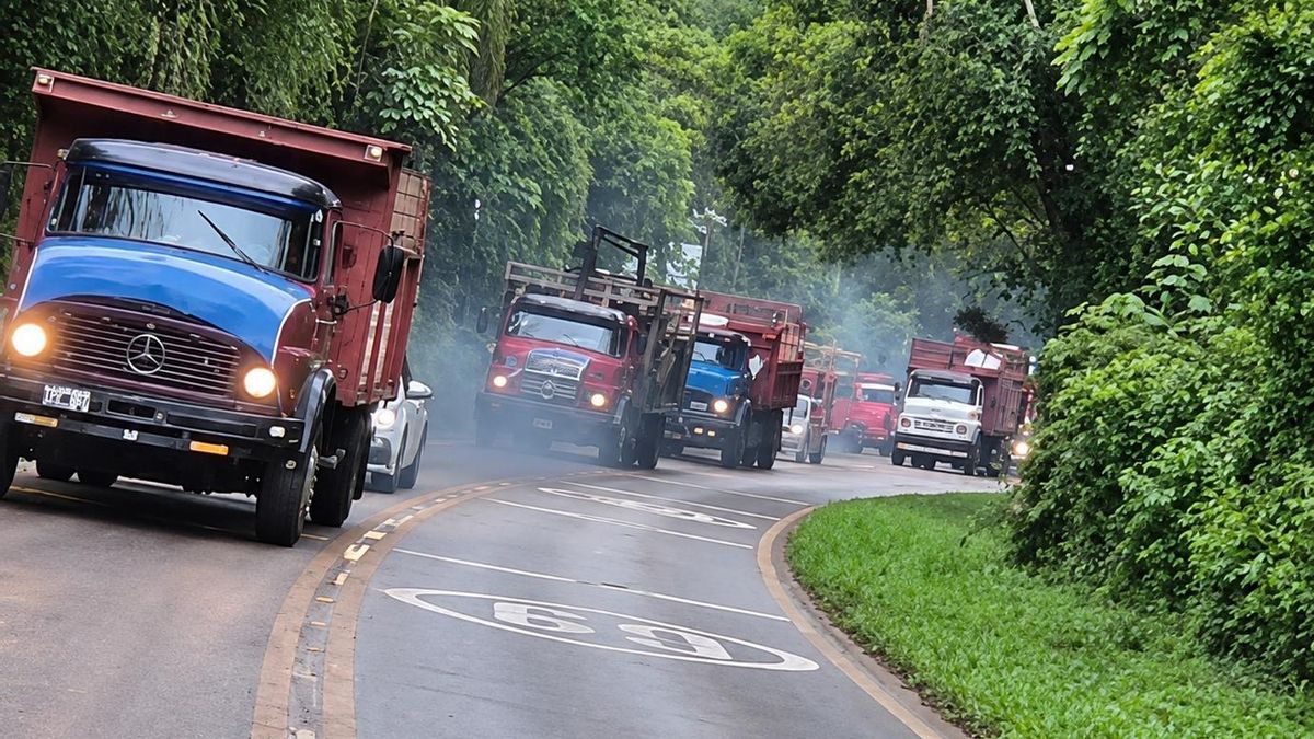 “Festejamos tu victoria, hoy estamos en la miseria”: la protesta yerbatera que espera a Milei en Iguazú