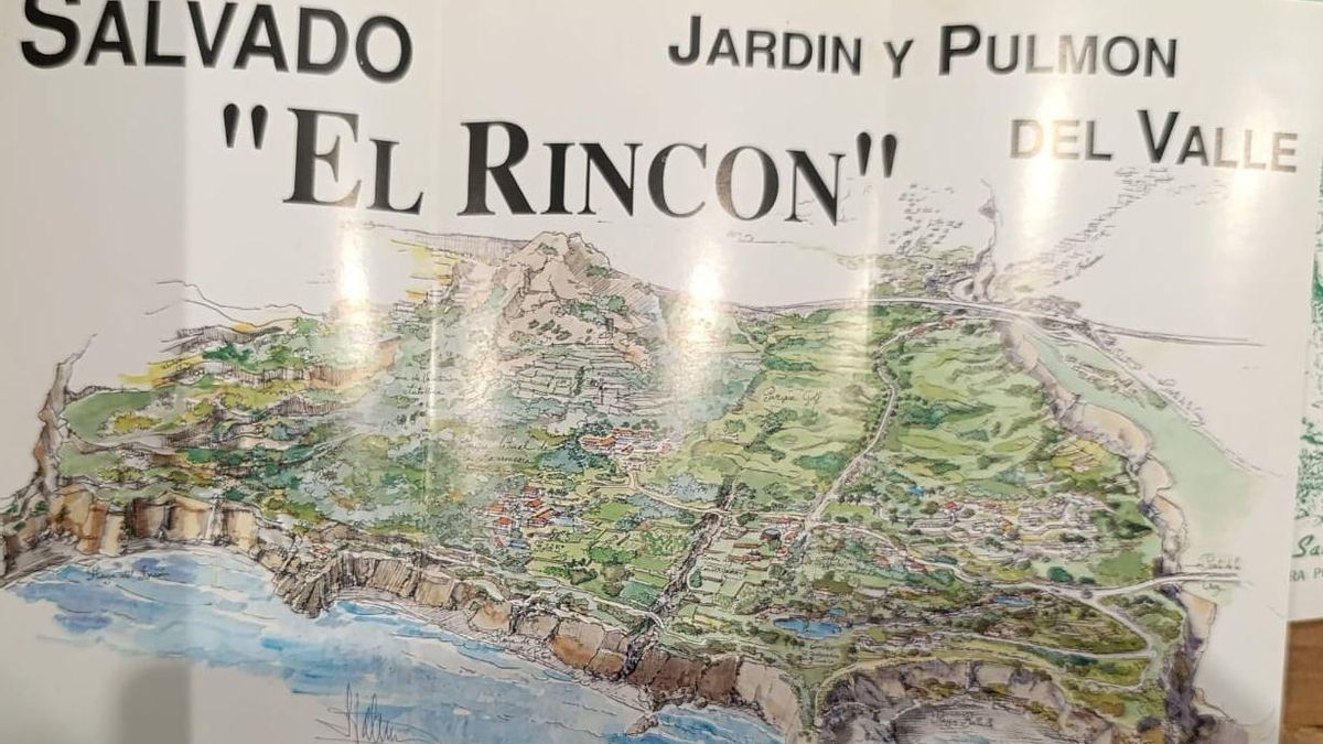 Folleto de "Salvado El Rincón".