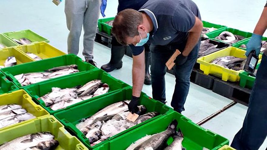 Agus, en su lonja de pescado de A Coruña