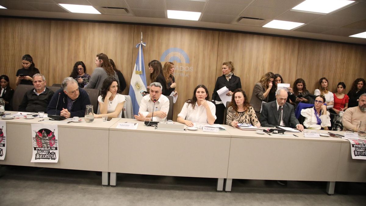 La comisión de las Mujeres y Diversidades denunció persecución política contra las mujeres