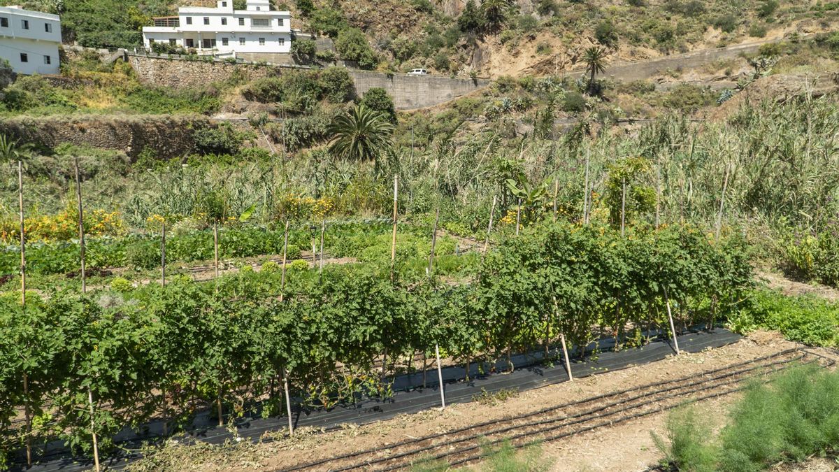 Anaga Biofest completa en La Gomera su primer ciclo de hermanamientos con las siete Reservas de la  Biosfera de Canarias