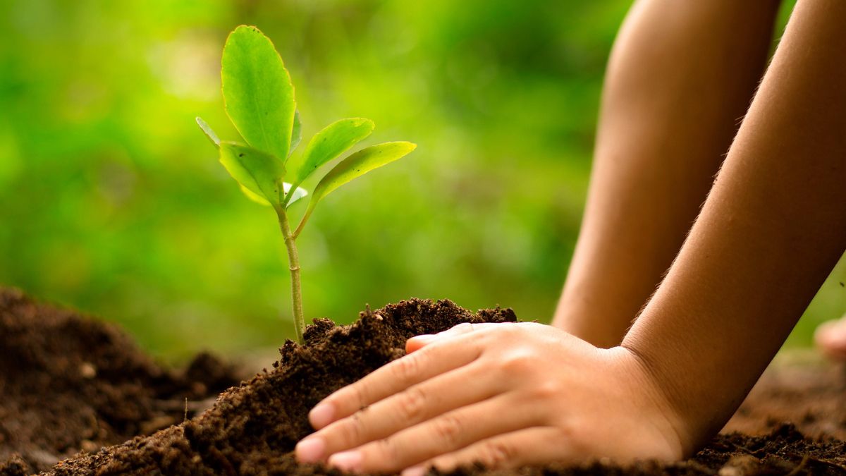 El viaje de una peladura: el ciclo de la orgánica en La Rioja