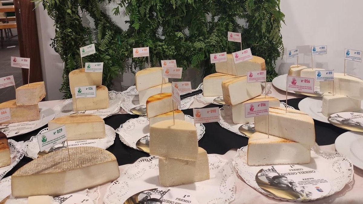 Quesos de cabra de raza palmera en el el XXXVII Concurso Insular de Quesos Artesanales de San Antonio del Monte.