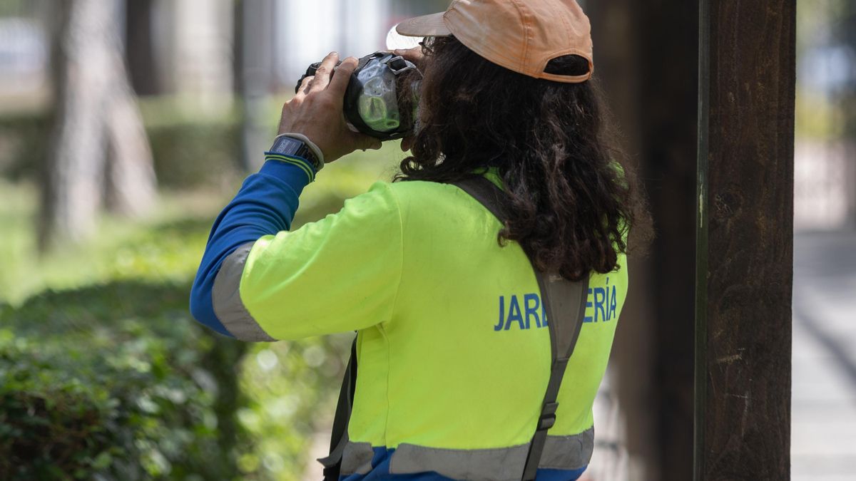 La Comunidad de Madrid arranca la semana con calor y máximas de 35 grados