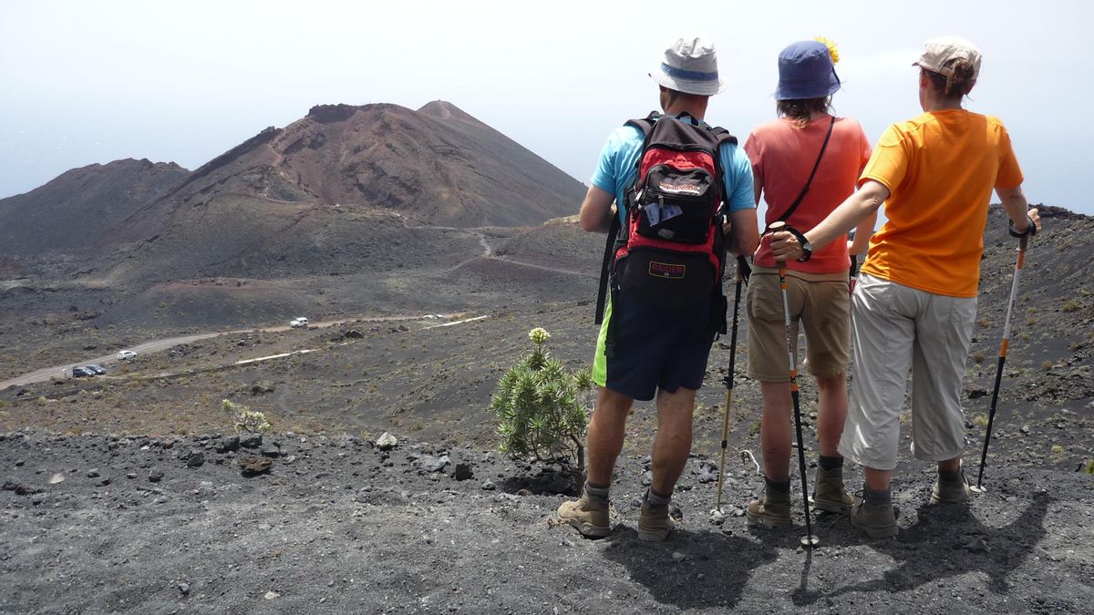 El Centro de Iniciativas Turísticas La Palma  impulsa en el sector la formación especializada en montaña