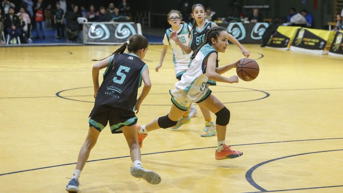 Campeonato de Andalucía A8 mini femenino de selecciones provinciales
