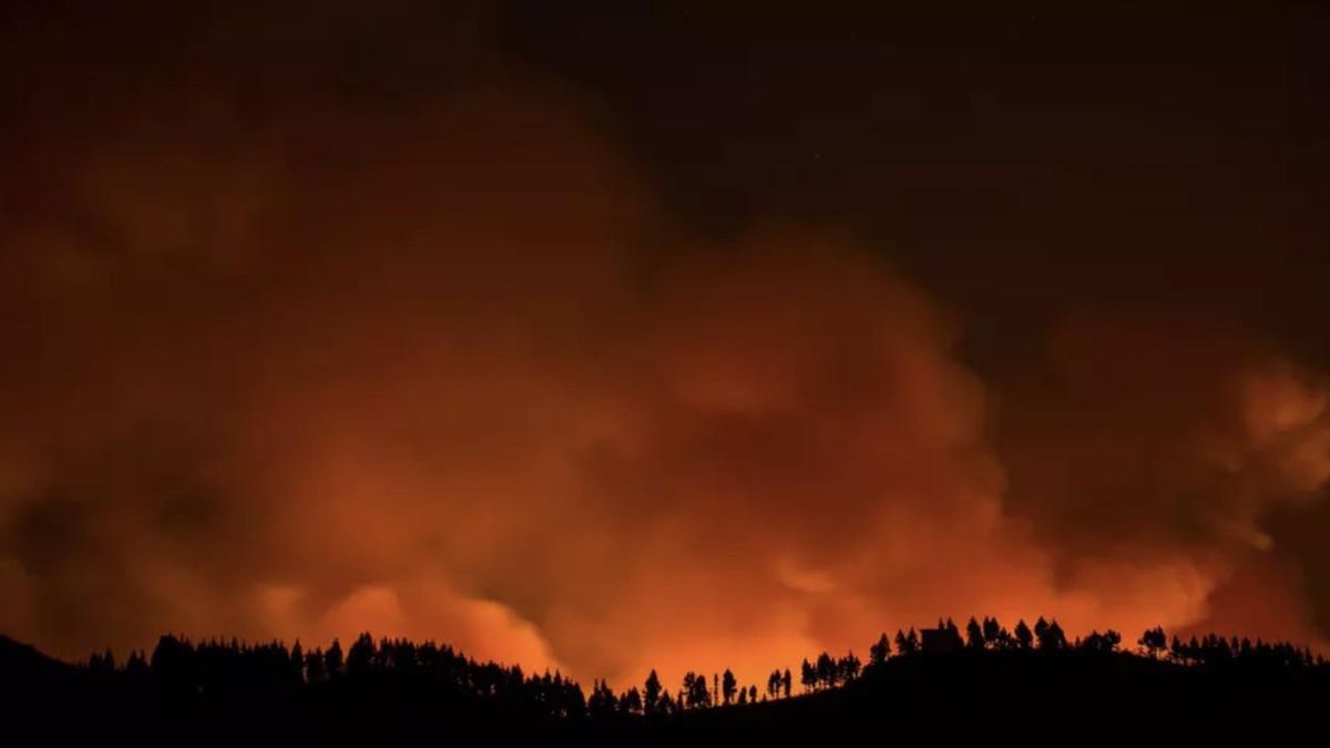 Canarias despliega 2.600 efectivos contra el fuego, pero la ciencia advierte: "No es solo cuestión de medios, sino de ordenar el territorio"