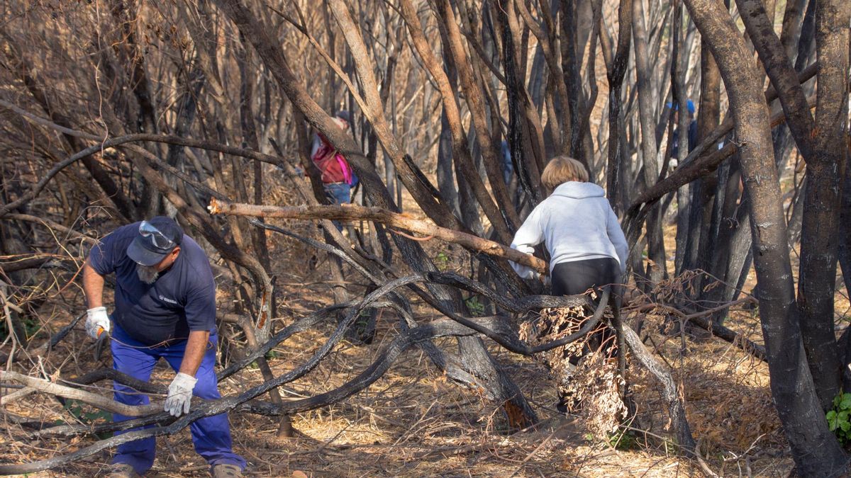 Solidaridad y esfuerzo vecinal para recuperar la zona quemada por los incendios en La Valdería