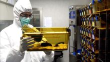 Un laboratorio con un experimento con ratones