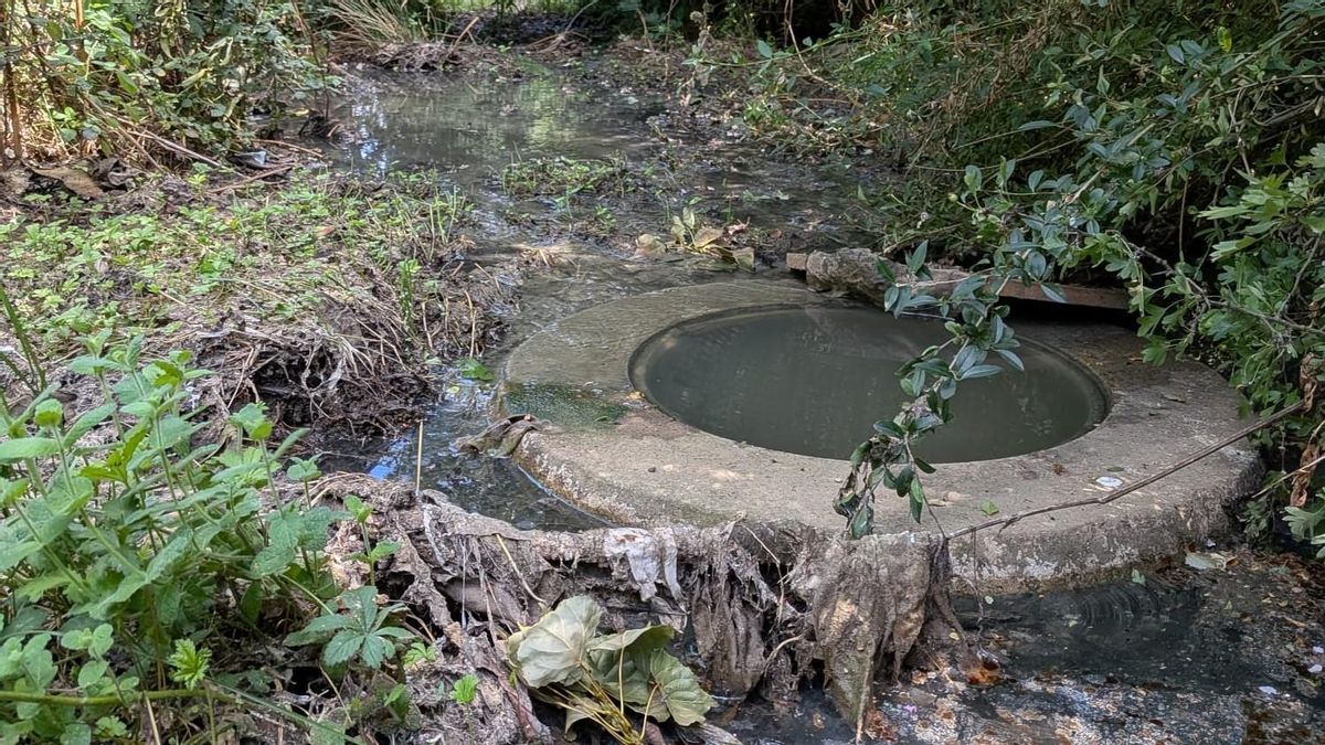 UPL denuncia un vertido de aguas fecales en la Sobarriba y exige soluciones al Ayuntamiento de Valdefresno