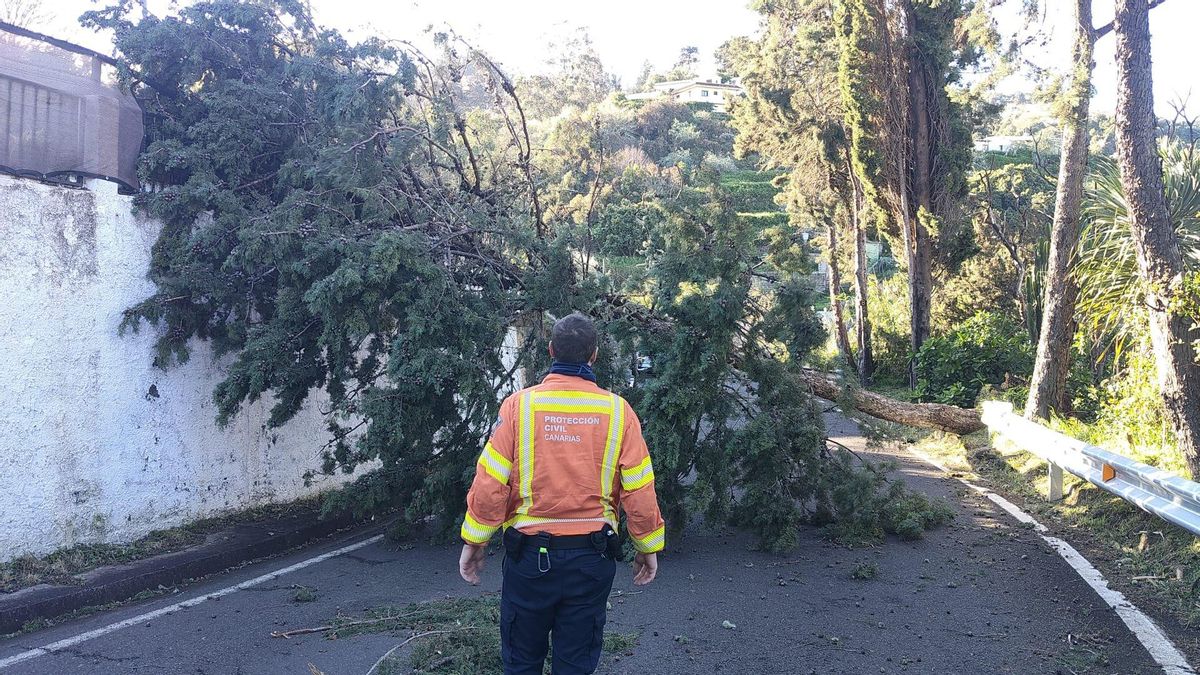 Therese ya ha dejado 40 incidencias en Gran Canaria y se espera intensificación de madrugada