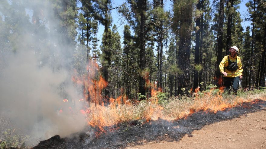 Equipo de la Consejería de Medio Ambiente del Cabildo de Gran Canaria supervisa unas quemas controladas en las cumbres grancanarias realizadas por la UME.