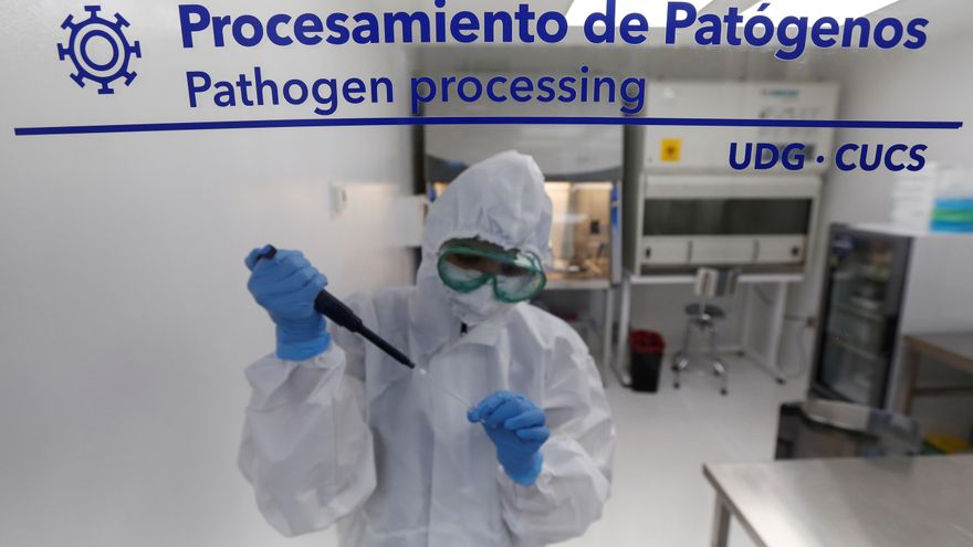 Investigadores trabajan con muestras de la Covid-19 ayer, en el Laboratorio de Diagnóstico en Enfermedades Emergentes y Reemergentes (LaDEER) de la Universidad de Guadalajara (UDG), estado de Jalisco (México). EFE/ Francisco Guasco