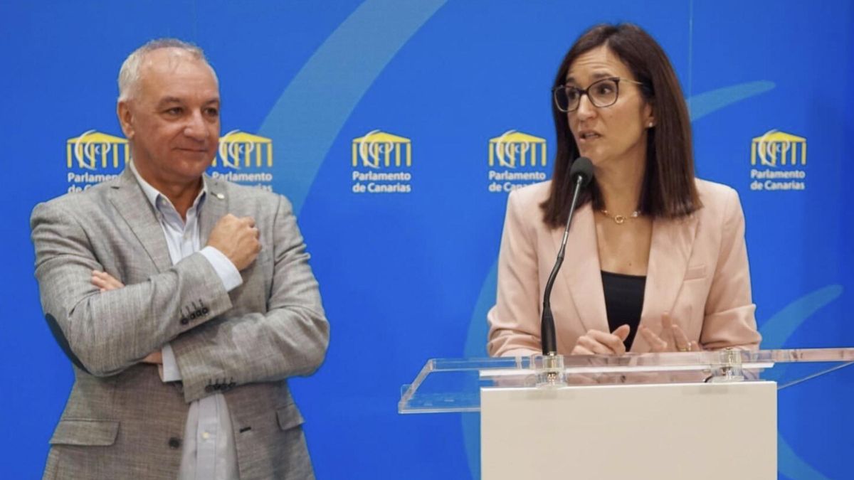 El portavoz de Nueva Canarias, Luis Campos, junto a la diputada del grupo Natalia Santana.