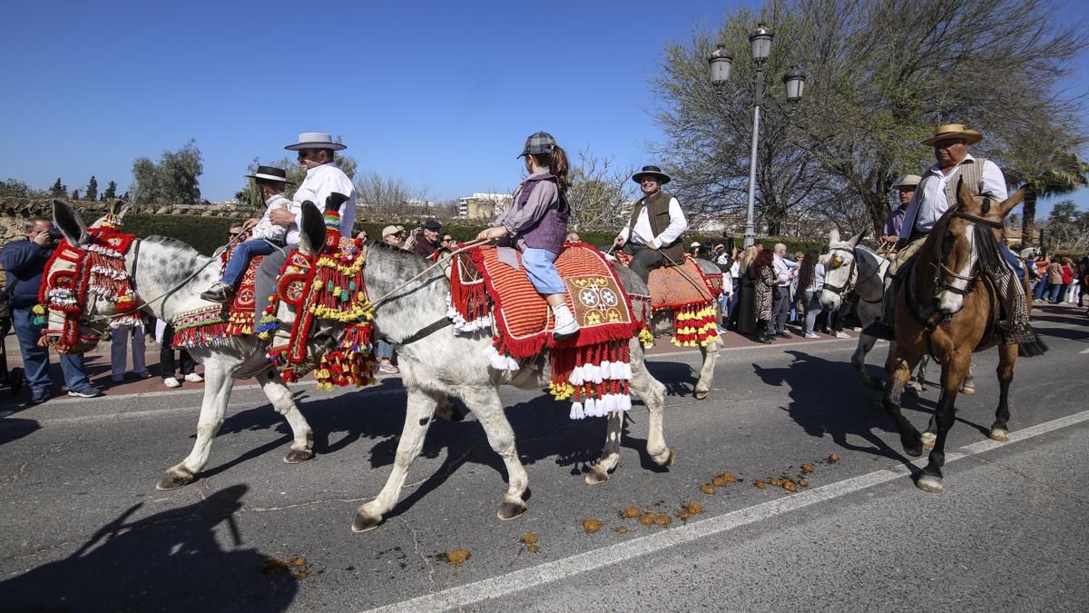 XVIII Marcha Hípica ‘Córdoba a Caballo’