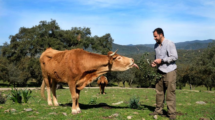 Red de Entidades Locales Ganadero-Cárnica, una vía para hacer visible lo que se produce en nuestros pueblos