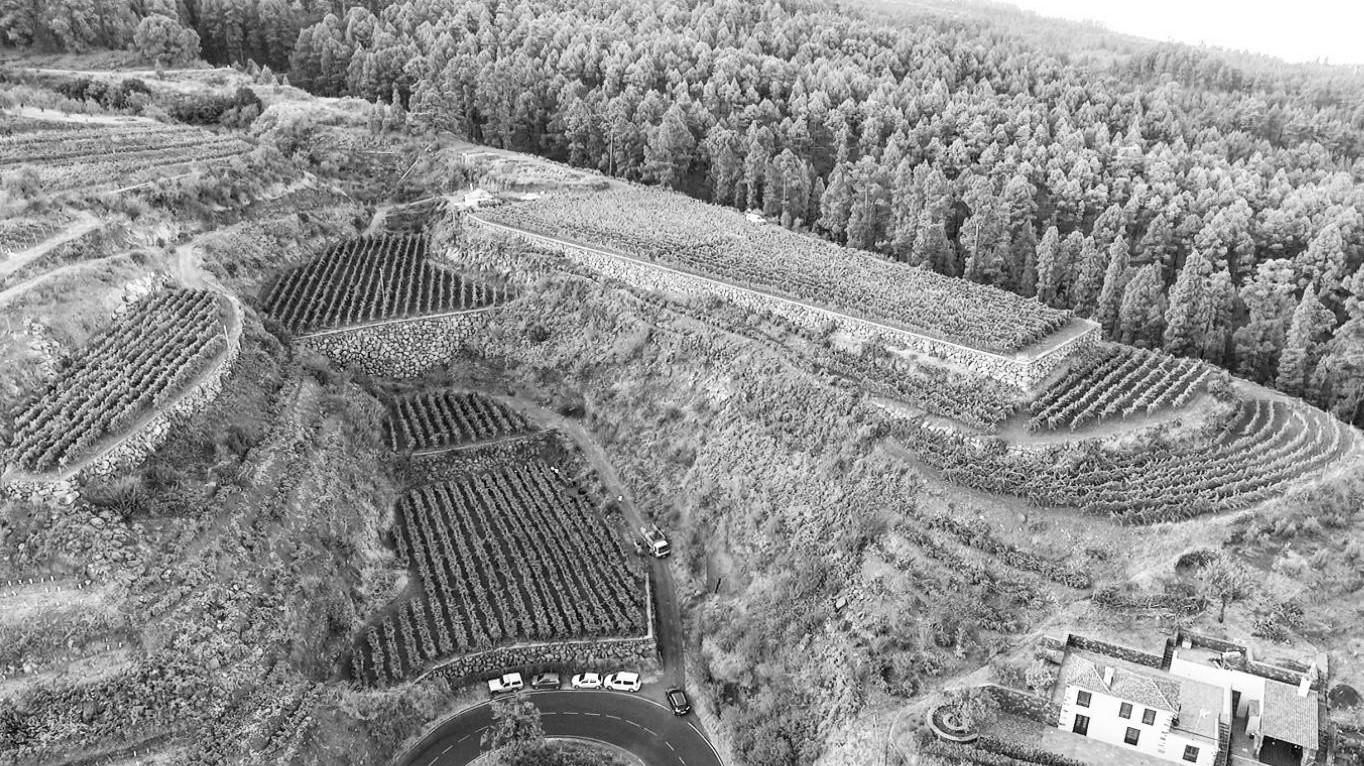 SAT Bodegas Perdomo.