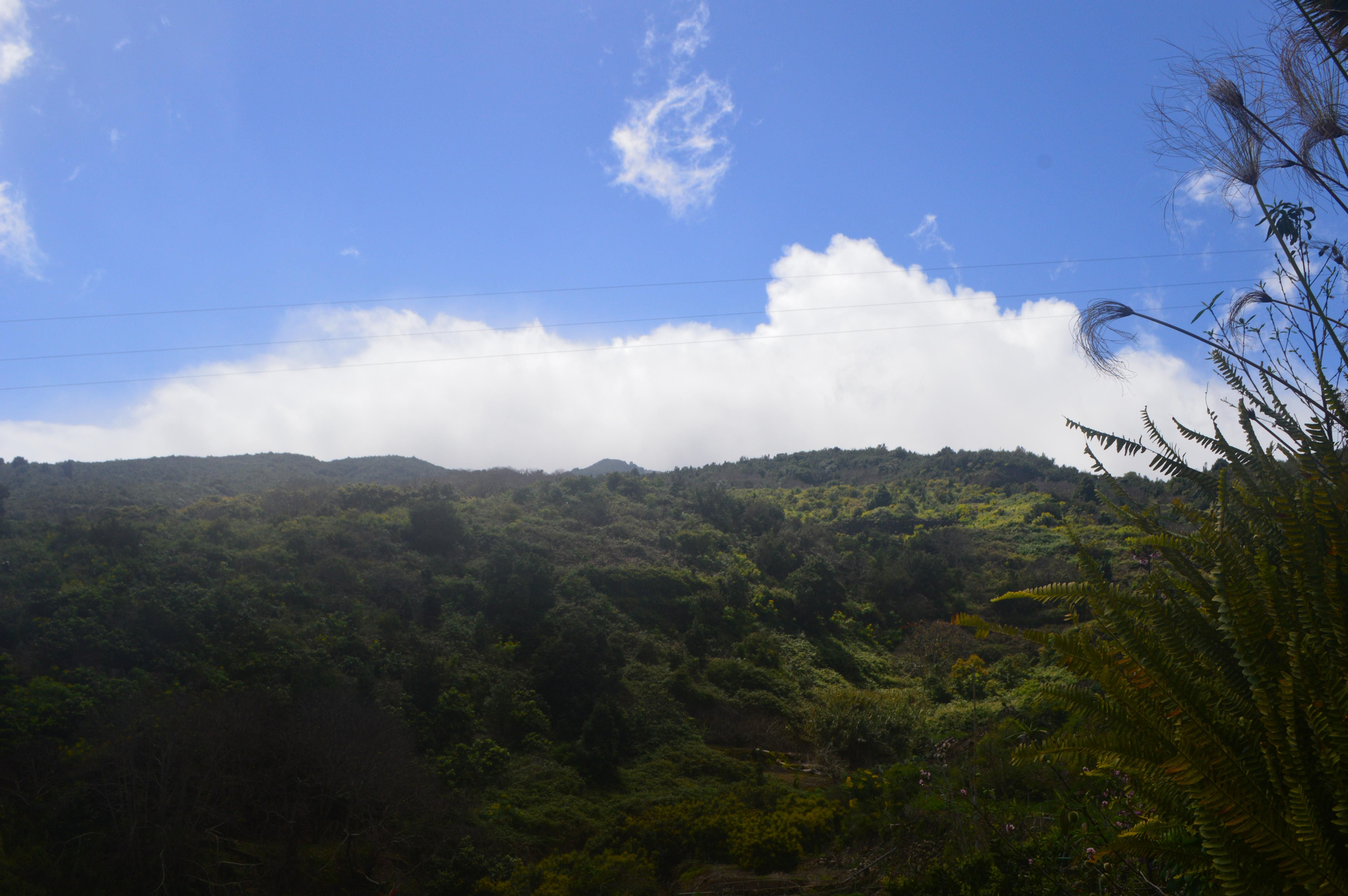 Montañalta, Las Lomadas, Los Sauces. Óscar Lorenzo 2026